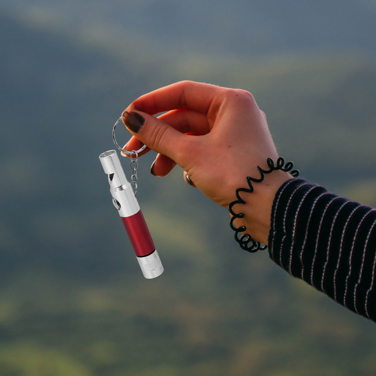 2個入り：緊急用サバイバルホイッスル、コンパス、懐中電灯。キ - Emergency Whistle Loud のレビューと価格